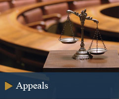 Civil & Criminal Appeals Attorney in Nassau County